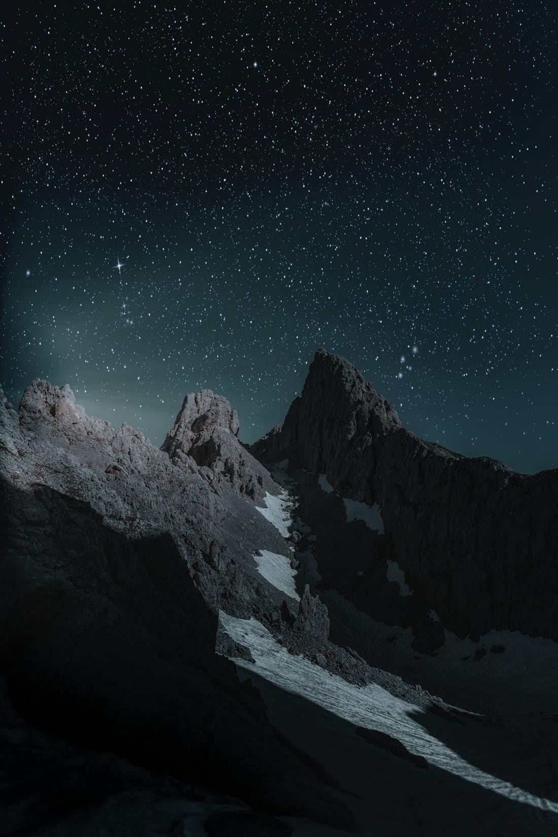 A forest clearing after dark as the naked eye sees it — near-total blackness