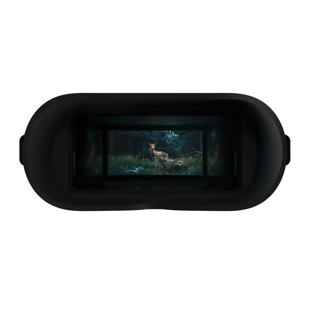 View through the DVX X3